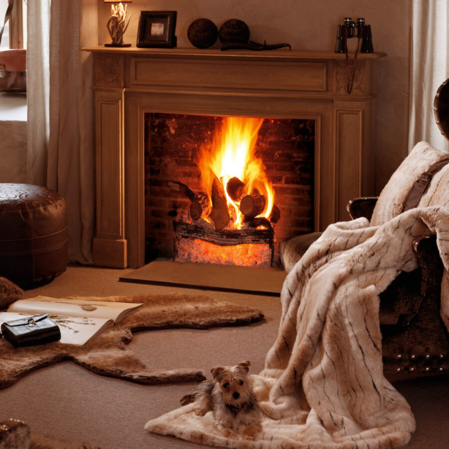 стекло в камин